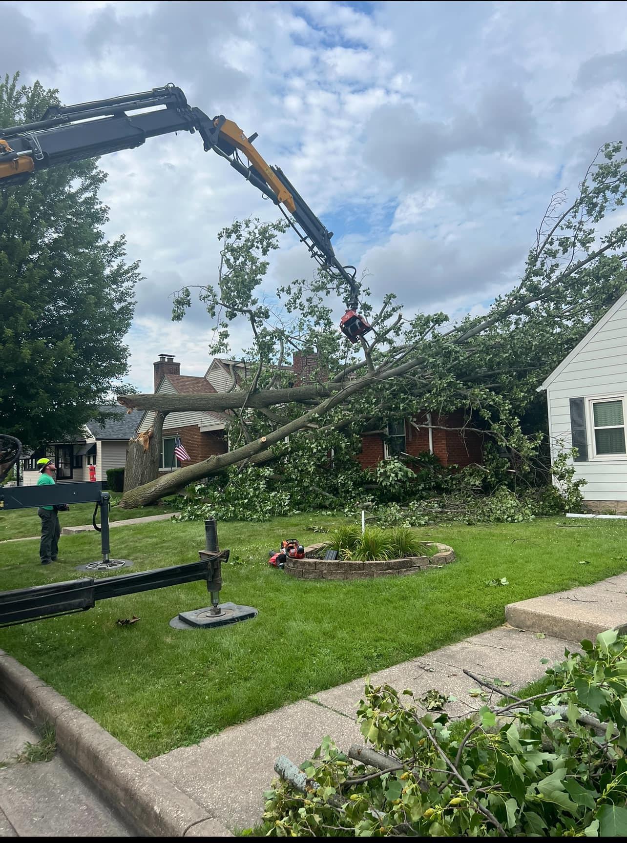 How Tree Trimming Enhances the Beauty of Your Melbourne Property