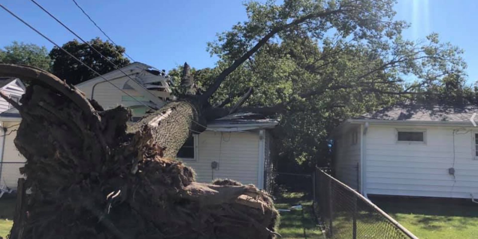 land clearing melbourne fl
