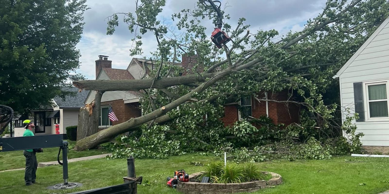 tree removal melbourne fl